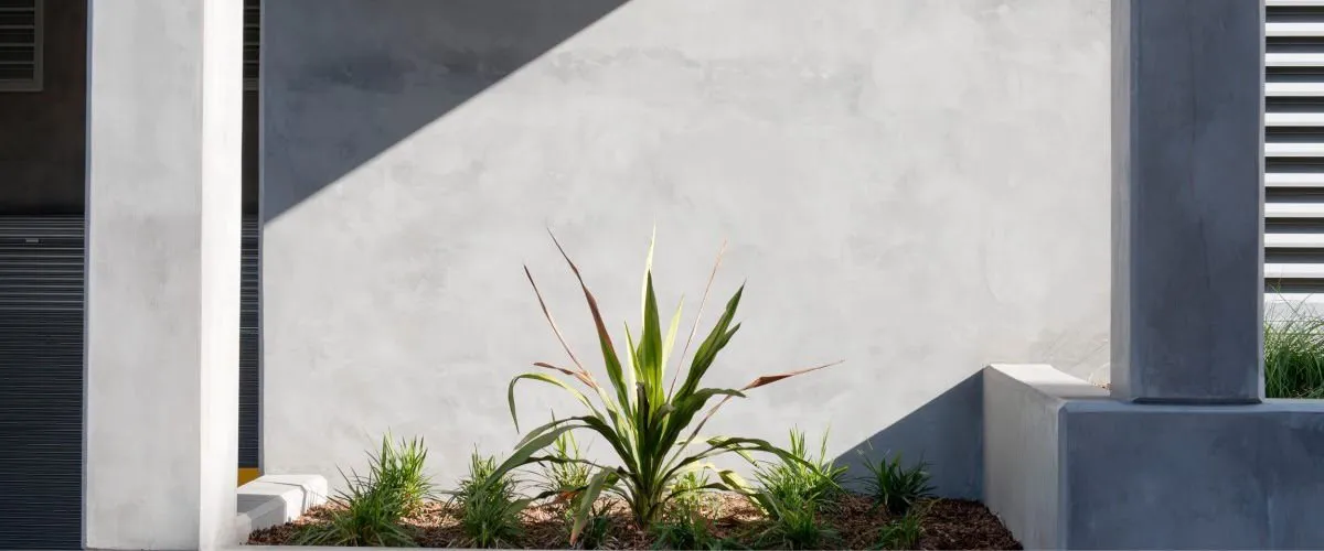 Your Guide to Cement Render: Everything You Need to Know Cement wall behind a small garden bed with plants.