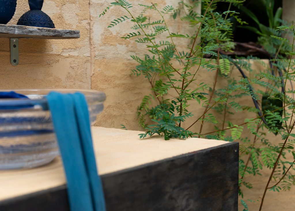 Sponsored polytechnic student - Melbourne flower and garden show exhibition