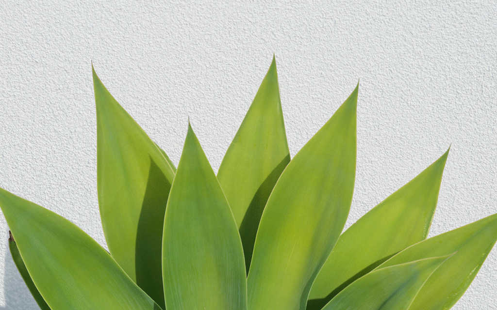 Rockcote Construction Systems