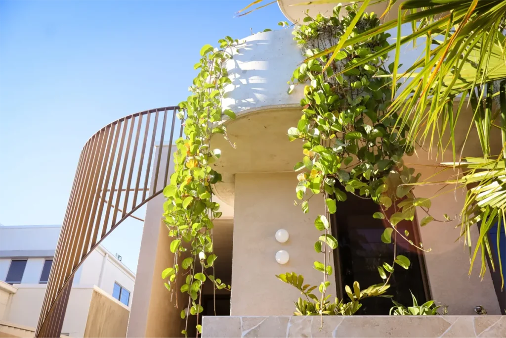 Sustainability Natural coloured house render with greenery hanging from the balcony